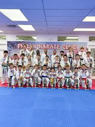 Image result for Haxby karate club