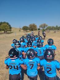 Image result for Hedingham Hawks Youth Football Club