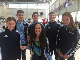 Image result for Halton Netball Club