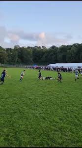 Image result for Swansea Uplands R.F.C.