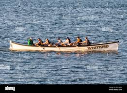 Image result for Appledore Pilot Gig Club