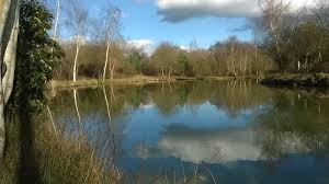 Image result for Guildford Angling Society