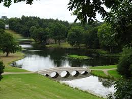 Image result for Leatherhead & Cobham Cc