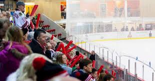 Image result for Streatham Ice Figure Skating Club, Kent