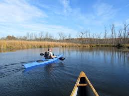 Image result for Castle Hill Canoe and Kayak Club
