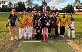 Image result for Mitcham Cricket Club