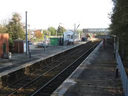 Image result for Hazel Grove