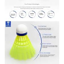 Image result for Flight Path Badminton Club