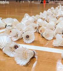 Image result for Old Pembertonians Badminton Club