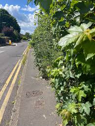 Image result for Woodmancote SMBC