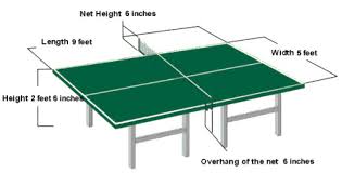 Image result for Table Tennis