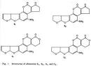 aflatoxin
