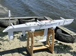 「ヴィクトリア＝パワード」の画像検索結果