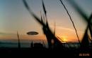 own photos and videos. - via Daymix