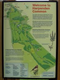 Image result for Harpenden Common Golf Club