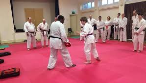 Image result for Burnley Wado Ryu Karate Club