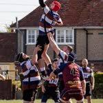 Image result for Witham Rugby Club Ltd