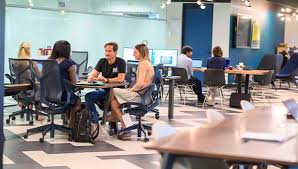 Image result for Team Economic Energy