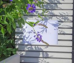 Attēlu rezultāti vaicājumam “Galega orientalis”