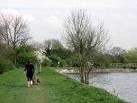 Walking the dogs along the Earth Dam, Tringford Reservoir - via Daymix