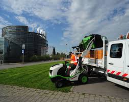 Image result for etesia tehron