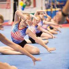 Image result for Colchester School Of Gymnastics