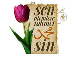 Hasan Erg��l� Ravzana Gelmeye