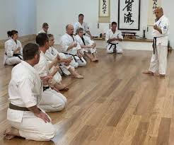 Image result for Ji Shin Do Karate