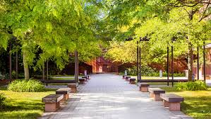 Image result for Trinity Cc, Cheshire