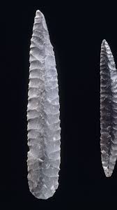 Image result for feuille-laurier-silex