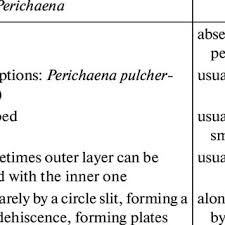 Attēlu rezultāti vaicājumam “Perichaena corticalis spores”