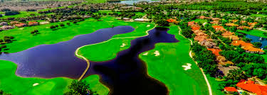 Image result for Fox Gc