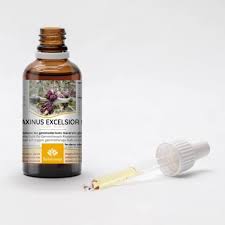 Attēlu rezultāti vaicājumam “Fraxinus excelsior bud”