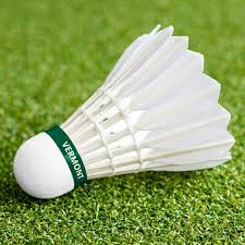 Image result for Shuttlecocks Badminton Club