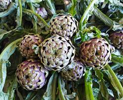 Image result for Cupello