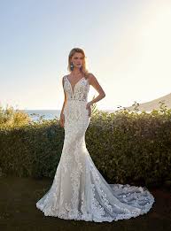 Image result for cosmobella