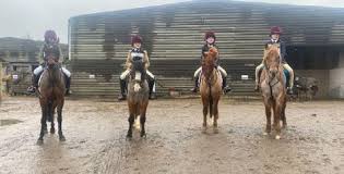 Image result for Beechwood Riding School