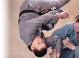 Image result for John Godwin's Penndel Martial Arts Academy