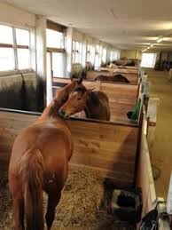 Image result for Lower Farm Stables