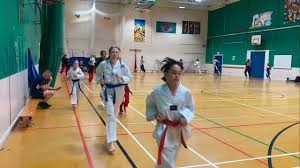 Image result for Great Britain Martial Arts Academy