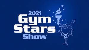 Image result for Gym Stars