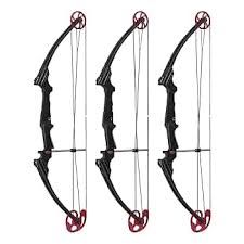Image result for Osprey Archery Club