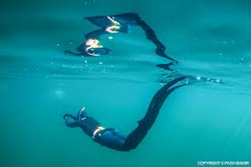Image result for Bath Freediving Club