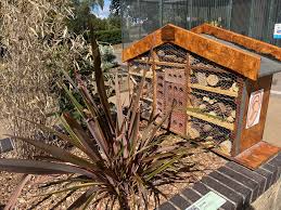 Image result for Cheltenham Cobras Volleyball Club