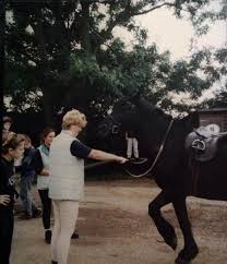 Image result for Old Park Riding Stables