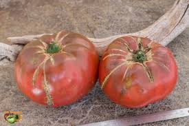 Afbeeldingsresultaat voor black sea man tomato