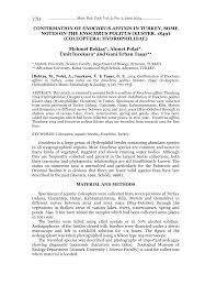 Attēlu rezultāti vaicājumam “Enochrus affinis”