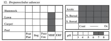 Attēlu rezultāti vaicājumam “Pseudobryum cinclidioides cells”