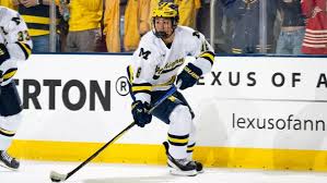 Image result for Blackburn Northern Hockey Club