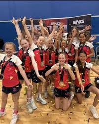 Image result for Academy Netball Club